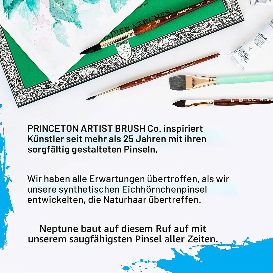 Princeton Pri Neptune Syn Sh Federkiel, Grösse 6