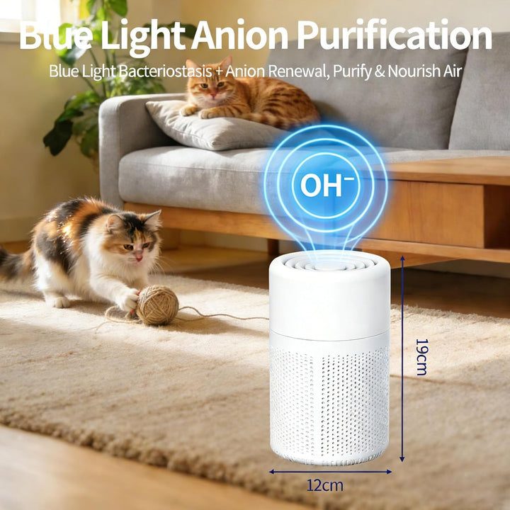 Luftreiniger Mit HEPA-Filter & Aromatherapie, Gegen Schimmel Staub Pollen Tierhaare, Energiesparend,