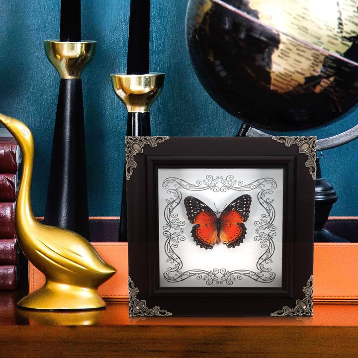 STOBAZA Retro Schmetterlingsrahmen für Wand Einzigartige Sammlung Präparierter Schmetterlinge DIY Vi