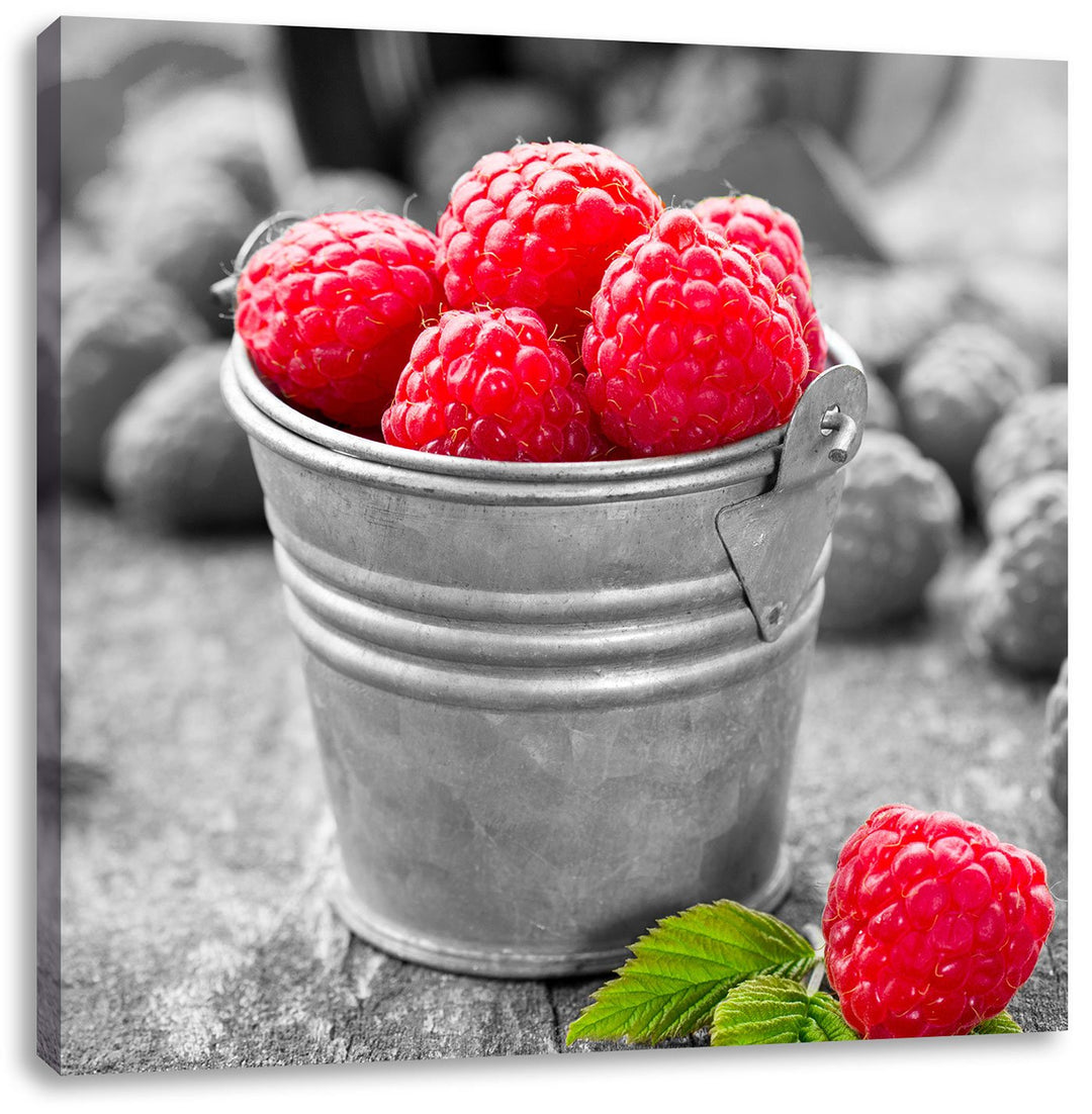 Pixxprint Früchte Eimer Obst Fruit Food schwarz/weiss, Format: 70x70 als Leinwandbild, 70x70