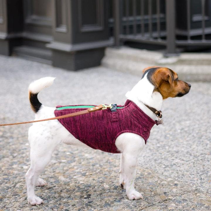 Gooby Zip Up Fleece-Weste für kleine Hunde Fuchsia Wash X-Small chest (~9.5"), Fuchsia Wash X-Small