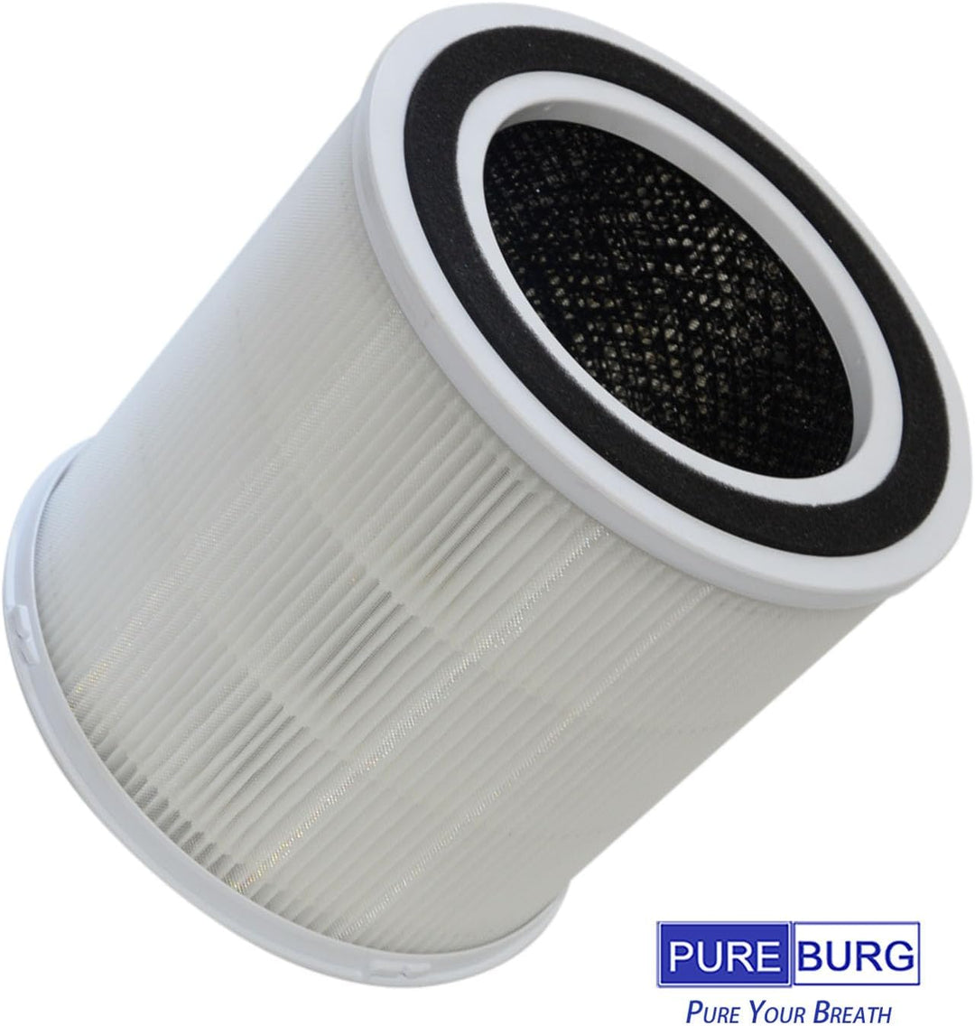 PUREBURG ErsatzFilter kompatibel mit FRESHDEW AP301 AP302 & Dayette AP301 & JOWSET AP301 AP302 AP303