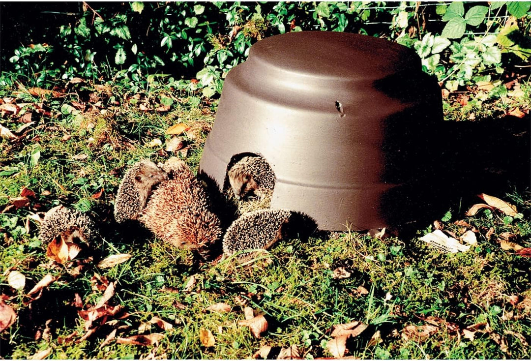 Igelkuppel mit Isolierboden