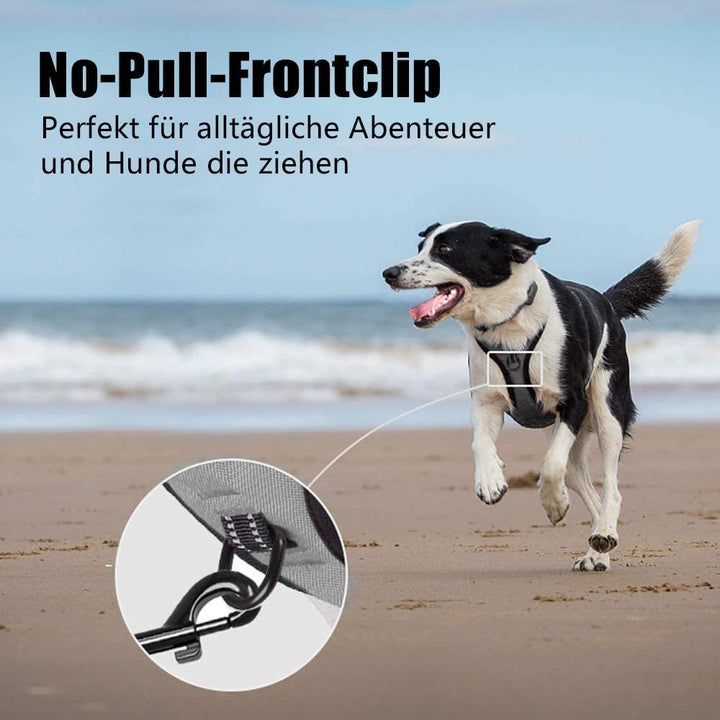 PoyPet No Pull Hundegeschirr, reflektierendes Westengeschirr mit 2 Leinenbefestigungen und einfachem