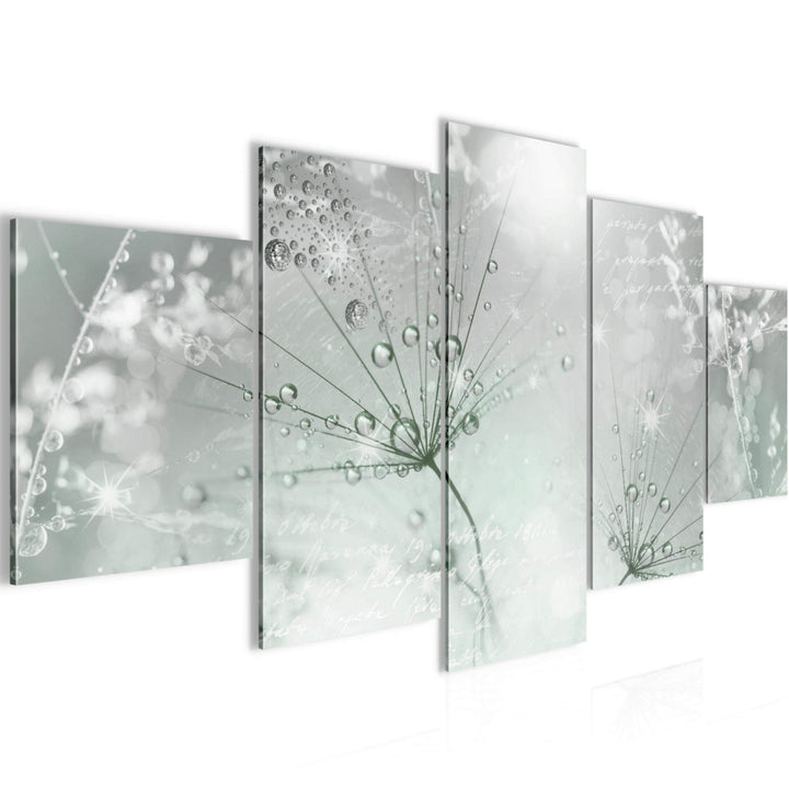 Runa Art Wandbilder Blumen Pusteblume 5 Teilig Bild auf Vlies Leinwand Deko Wohnzimmer Natur Grün Gr