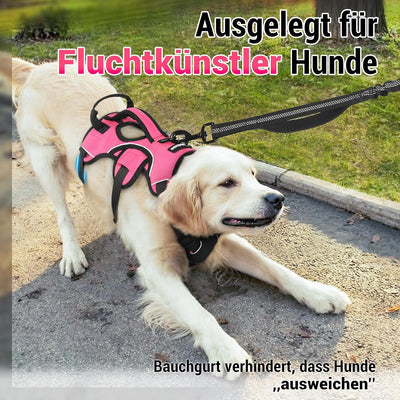 rabbitgoo Ausbruchsicheres Hundegeschirr Mittelgrosse Hunde mit Griff, Anti Zug Sicherheitsgeschirr