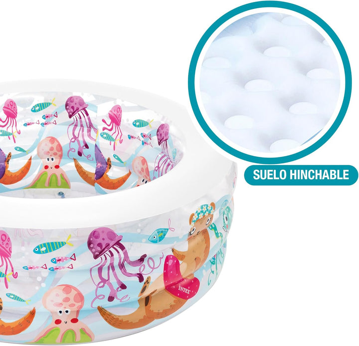 Intex Aquarium Pool, mehrfarbig, 152x152x56 cm, 58480NP Single, Single