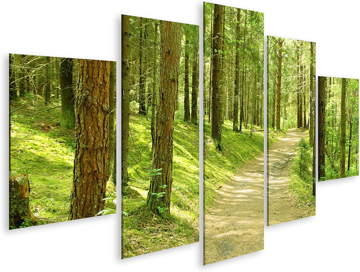 islandburner Bild auf Leinwand Pfad Im Finnischen Wald Grüne Landschaft Bilder Wandbilder Poster Lei