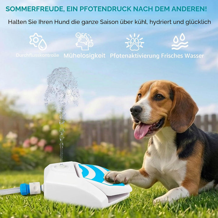 ALL FOR PAWS Hunde Trinkbrunnen Outdoor - Automatischer Wasserspender mit Sprinkler für Hunde, Hydra