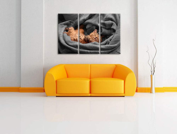 Pixxprint Bezaubernde schlafende Katze als Leinwandbild | Grösse: 3 Teilig (120x80) | Wandbild| Kuns