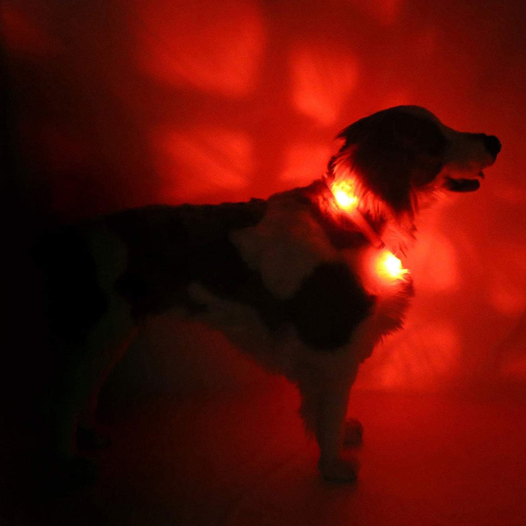 LEUCHTIE® Leuchthalsband Plus rot Grösse 52,5 I LED Halsband für Hunde I 100 h Leuchtdauer I wasserd