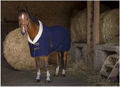 Stalldecke mit Polarfleece Teddy EquiTheme Marineblau 125cm, 125cm
