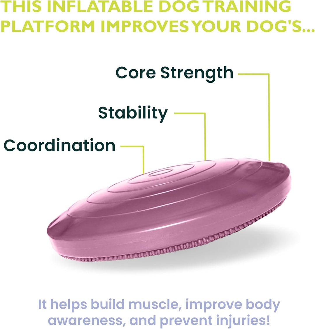 Fitpaws Balance-Disc für Hunde, 14", Violett