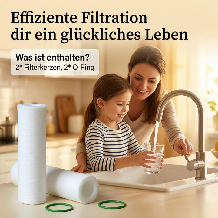 3 Stück Ersatzfilter 80 µm, Ersatz Filterkerzen kompatibel mit Grünbeck Feinfilter FS 1, Filter Wass