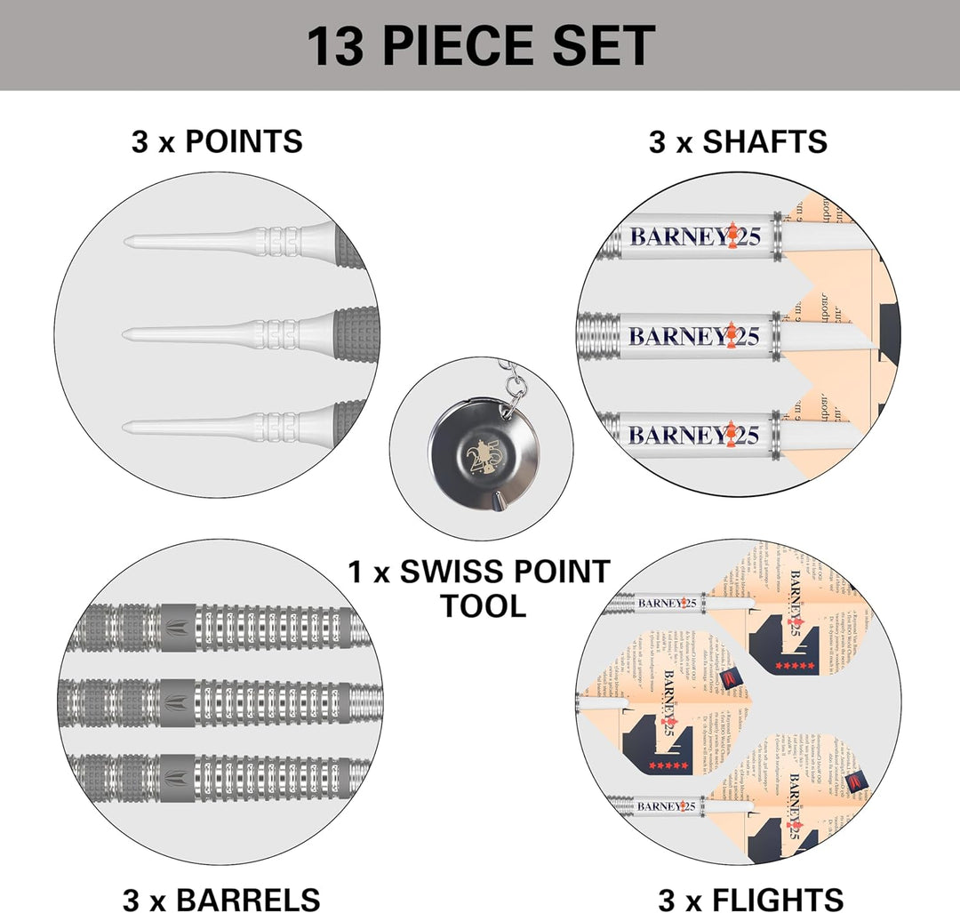 Target Darts Raymond Van Barneveld RVB 25 Year Edition 95% Wolfram Soft Tip Darts Set 18G, 18G