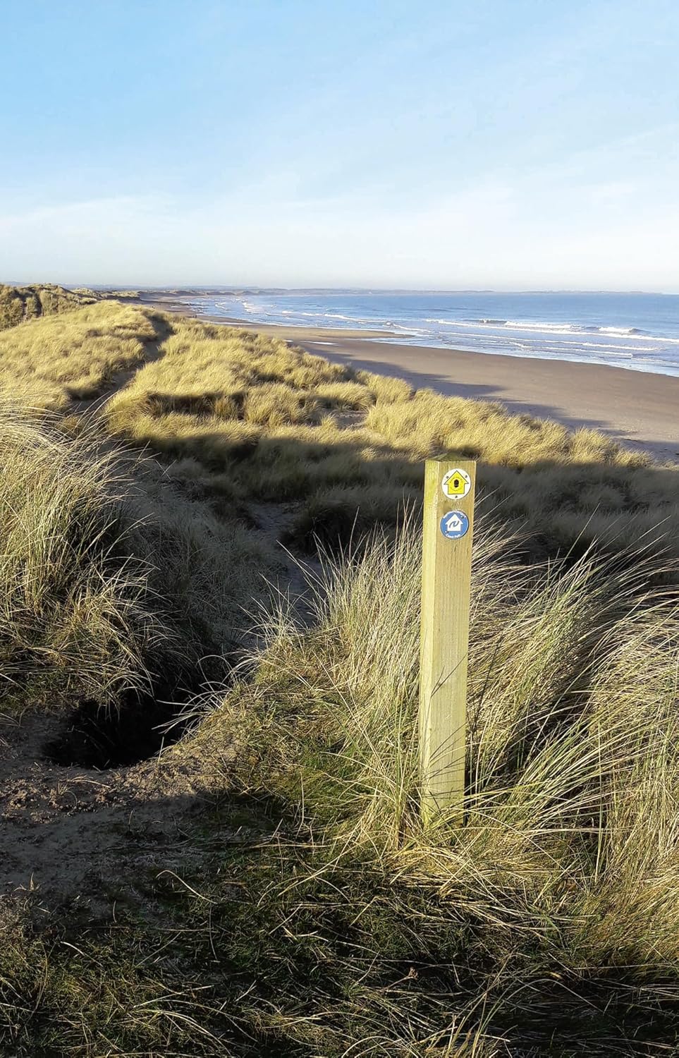 The St Oswald's Way - Official Guidebook, Taschenbuch
