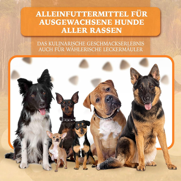 Wildborn Wild Mustang 2 kg getreidefreies Hundefutter mit Pferdefleisch, Süsskartoffel & Aroniabeere
