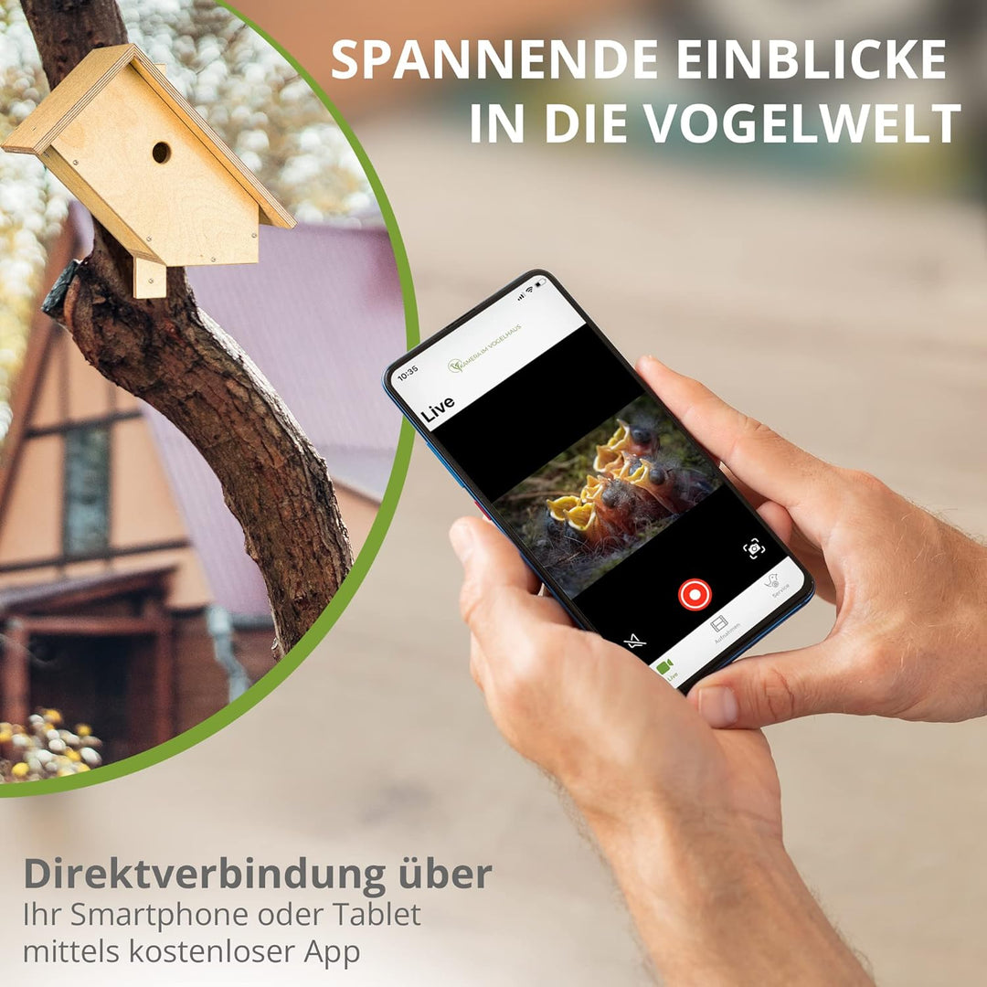 Nistkasten mit WLAN-Kamera. Autark & wetterfest, mit idealem Lichteinlass für störungsfreie Brut, mi