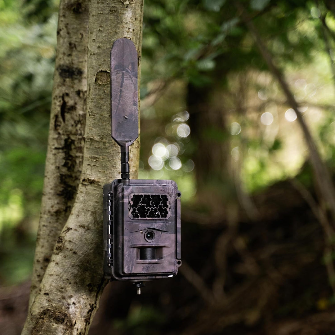 SEISSIGER Base-Cam LTE SUPERSIM-Edition, Wildkamera - Überwachungskamera, Jäger, Outdoor