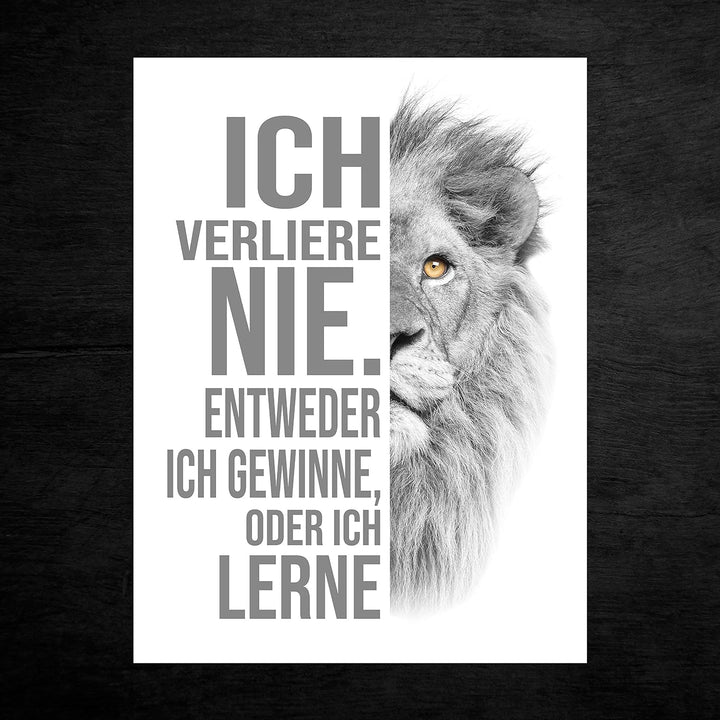 wandmotiv24 Poster als Wanddeko, Grösse 80x60cm, ich verliere nie, Weiss, Löwe, Moderne Wanddeko, Wa