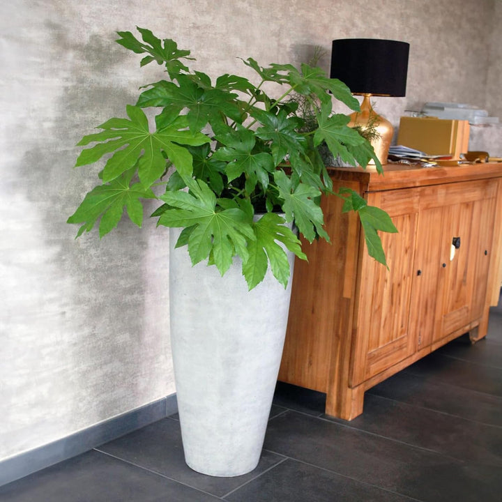 VIVANNO Pflanzkübel Pflanzgefäss Blumenkübel Fiberglas City Beton-Optik Grau - 100x47 Beton-design G