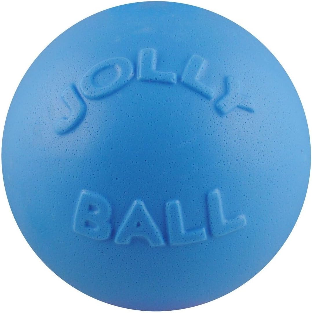Bounce-N-Play Ball