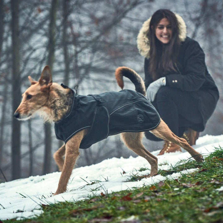 HUNTER Uppsala SoftshellHundemantel, Funktionsmantel, wasserabweisend, winddicht, reflektierend 25,