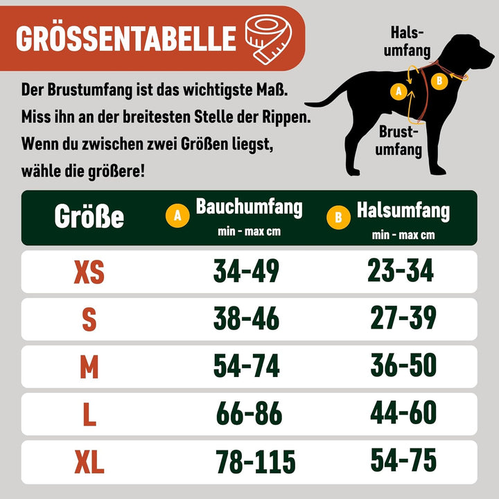 Nomadog Trailblazer Anti Zug Hundegeschirr Mittelgrosse Hunde mit Griff - Gepolstert, Verstellbar fü