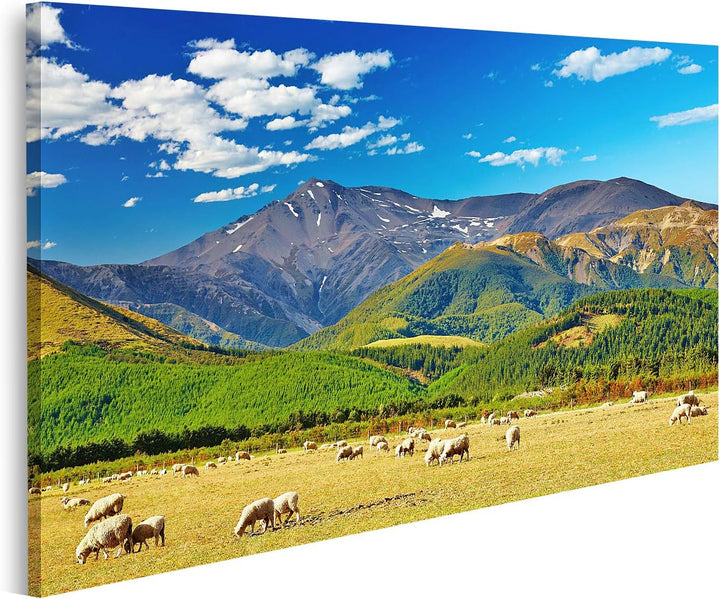 islandburner Bild auf Leinwand Berglandschaft Mit Grasenden Schafen In Neuseeland Bilder Wandbilder