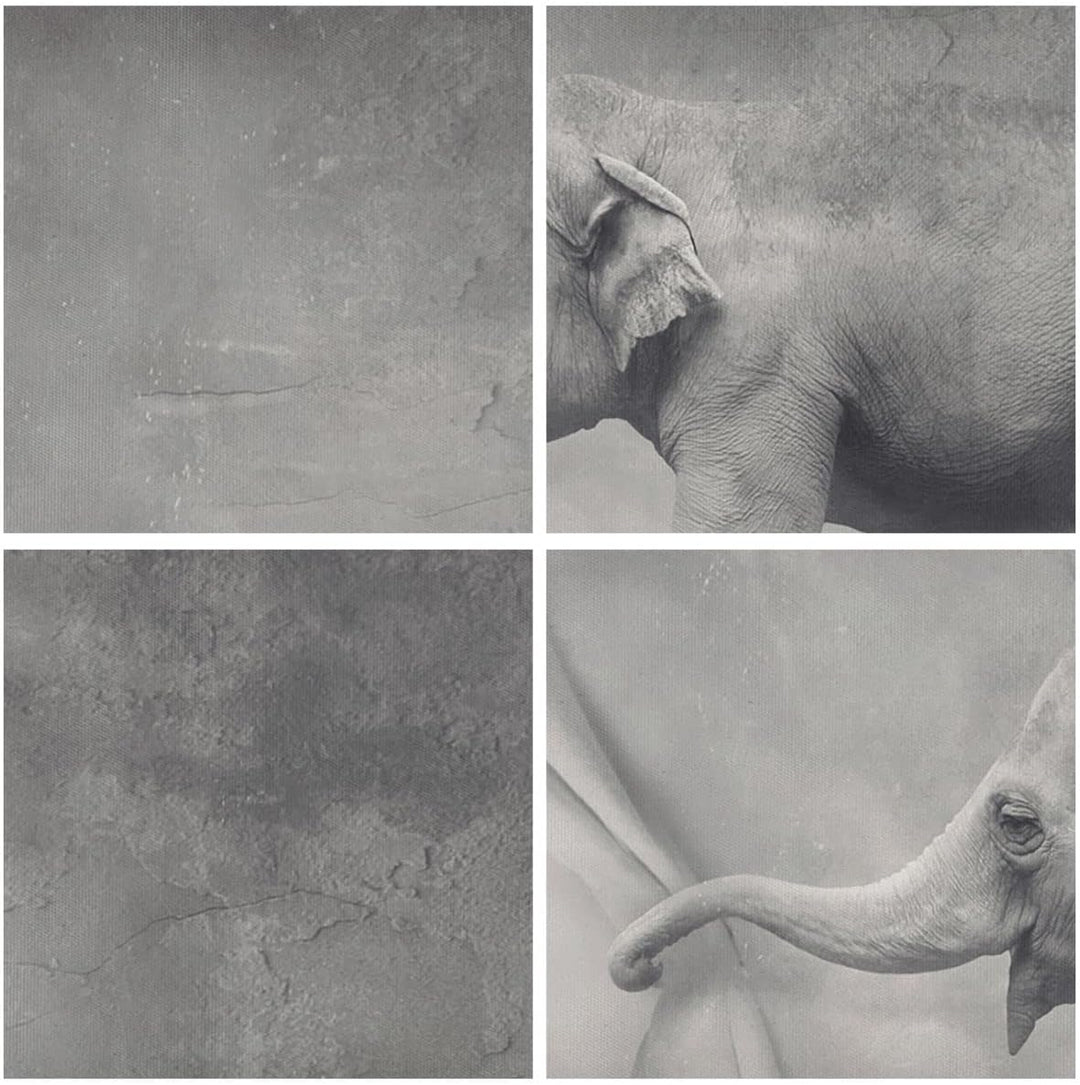 Bilder auf Leinwand Elefant Vorhang Abstraktion Phantasie Leinwandbild 70x50cm Wandbilder Dekoration