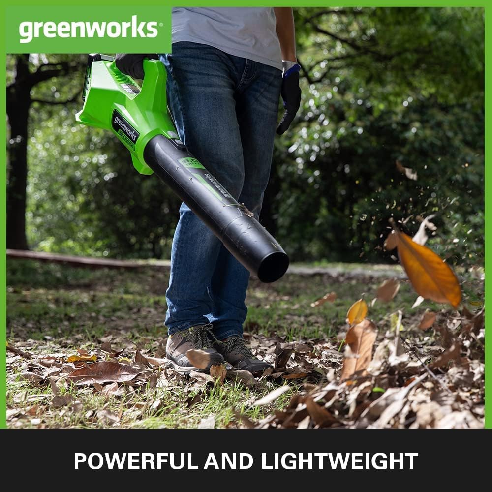 Greenworks G24ABIIK2 Axial Akku Laubbläser, 145 km/h, 9,08 m³/min 24V Akku & Ladegerät, 3 Jahre Gara