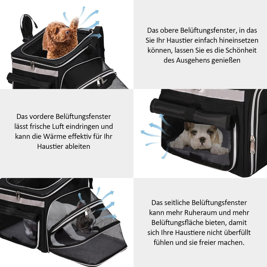 Haustier Fahrradtasche für Hunde Katzen, Haustier Rucksäke mit Vorne Atmungsaktiv Netzfenster, Faltb