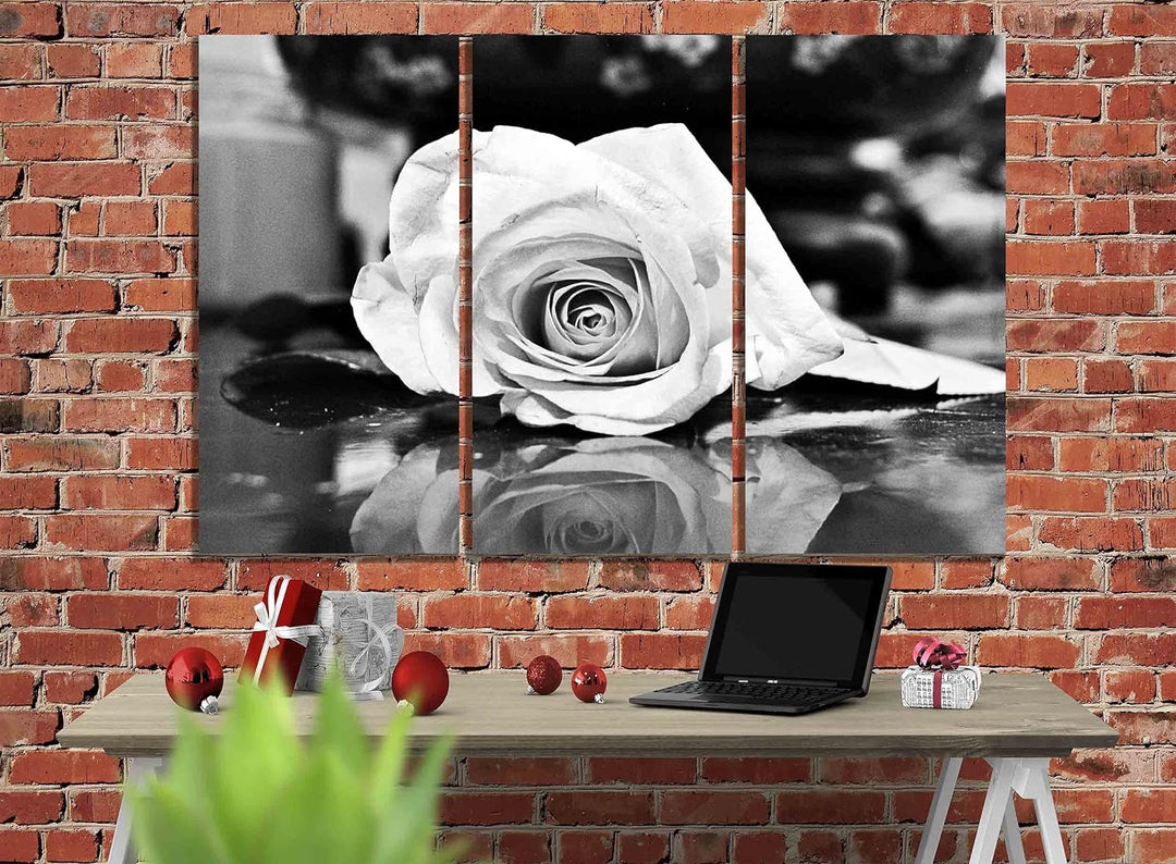 Kunstdruck auf Leinwand, Motiv: Rose, 50 x 25 cm, Schwarz / Weiss 50 x 25cm (20 x 10 inches) X 3, 50