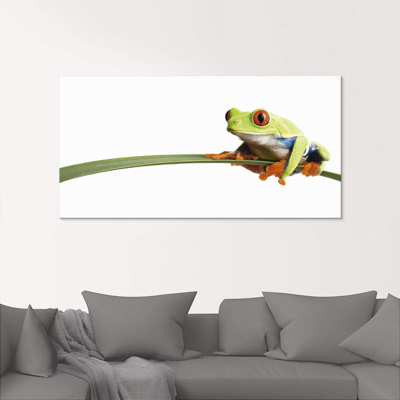 ARTland Glasbilder Wandbild Glas Bild einteilig 60x30 cm Querformat Natur Tiere Frosch Laubfrosch Bl