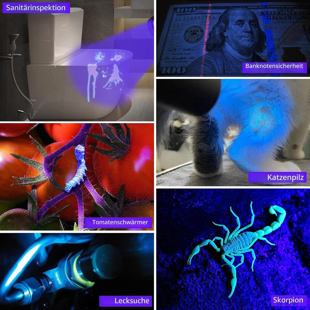 DARKBEAM UV-Taschenlampe 365nm Licht Schwarzlicht, Mini Leistungsstarke Holzlampe USB-C Wiederauflad