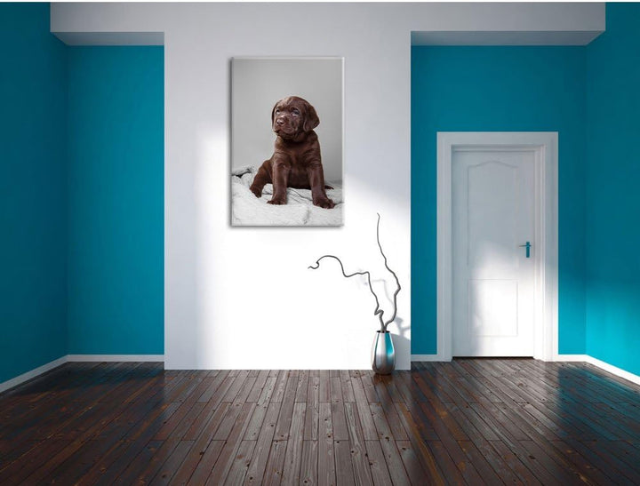 Pixxprint Hundewelpe auf Pullovern als Leinwandbild/Grösse: 100x70 / Wandbild/Kunstdruck/fertig besp