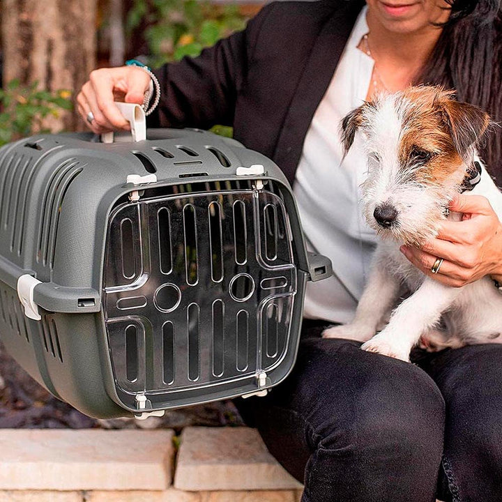Ferplast Transportbox für kleine Hunde und Katzen, Jet 10, transparente Tür, stossfest, Belüftungssc