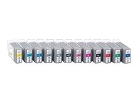 Canon PFI-101PC