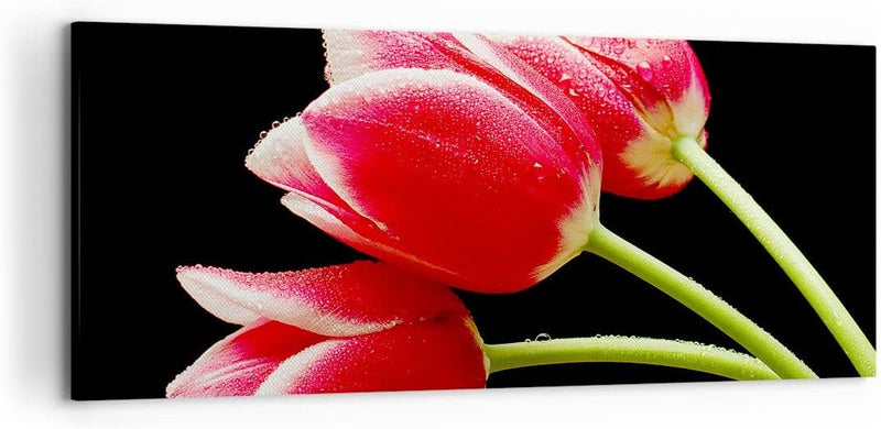 Wandbilder Dekoration Wohnzimmer Tulpe garten blume blumenstrauss Panorama Bilder auf Leinwand 120x5