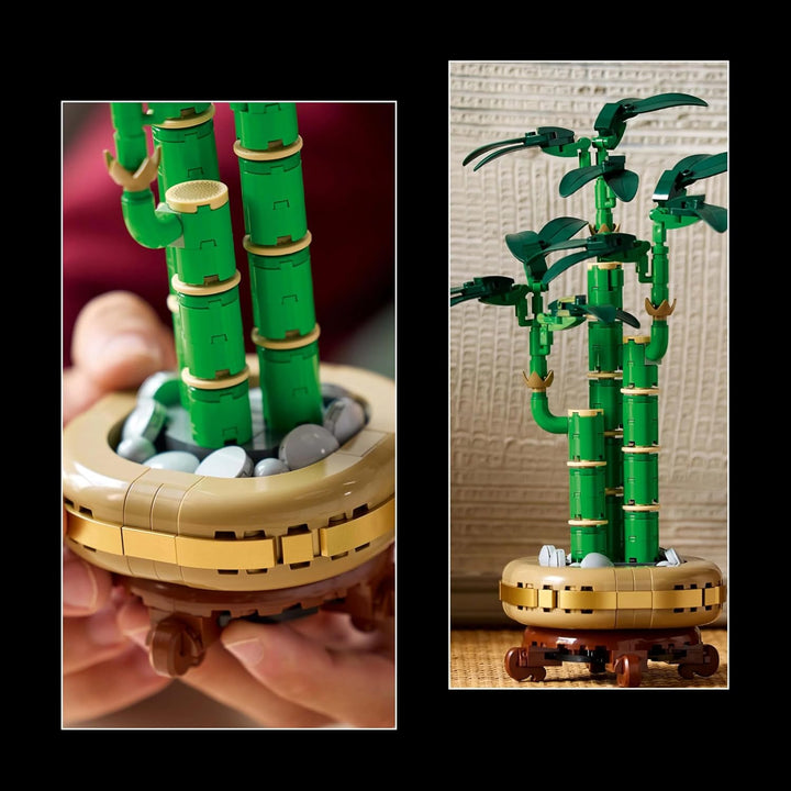 LEGO Botanicals Glücks-Bambus, Kunstpflanze - Bauset für Erwachsene - Geschenk für Einweihungspartys