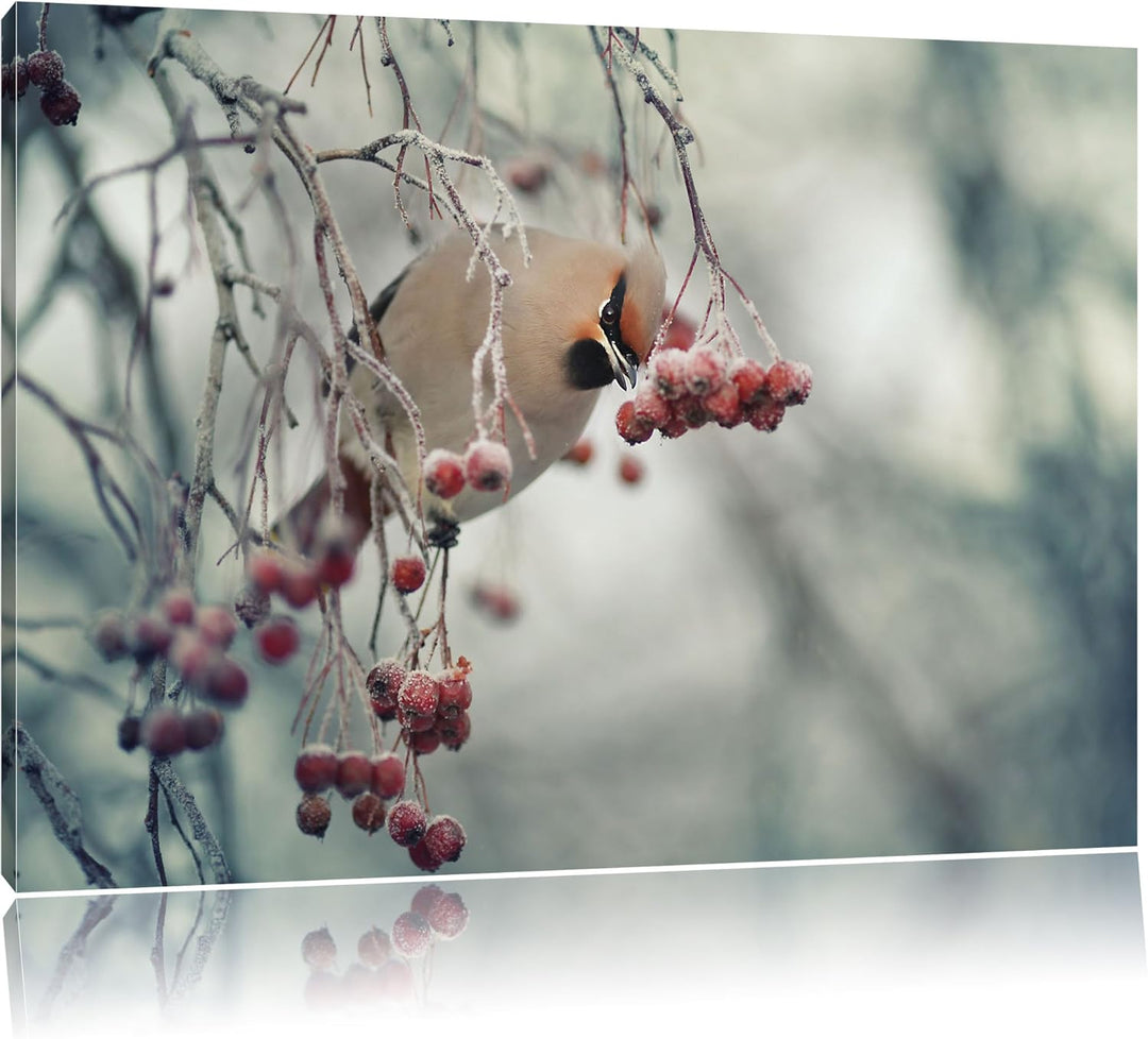Pixxprint Kleiner Vogel im Vogelbeerbaum, Format: 100x70 auf Leinwand, 100x70