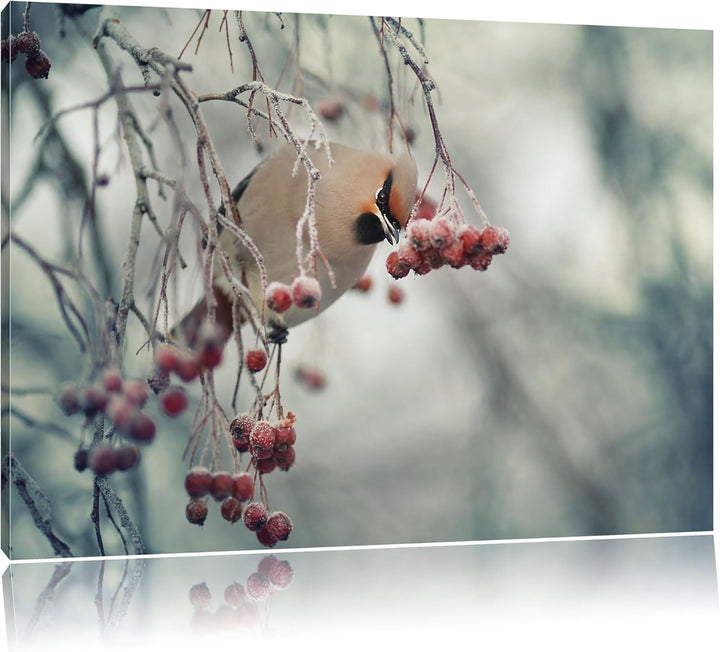 Pixxprint Kleiner Vogel im Vogelbeerbaum, Format: 100x70 auf Leinwand, 100x70