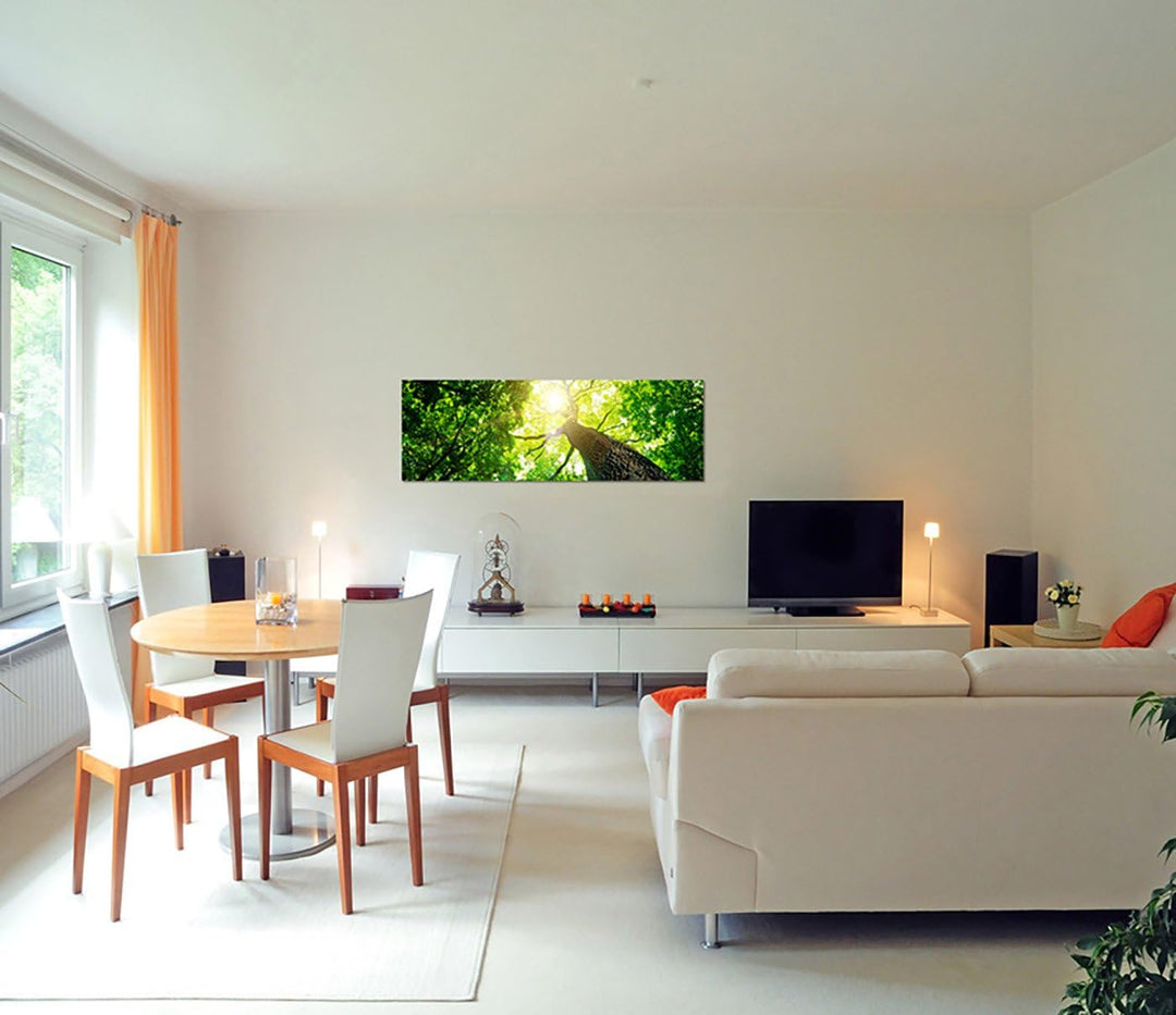Paul Sinus Art Panoramabild auf Leinwand und Keilrahmen 150x50cm Baum Stamm Krone Sonnenstrahlen
