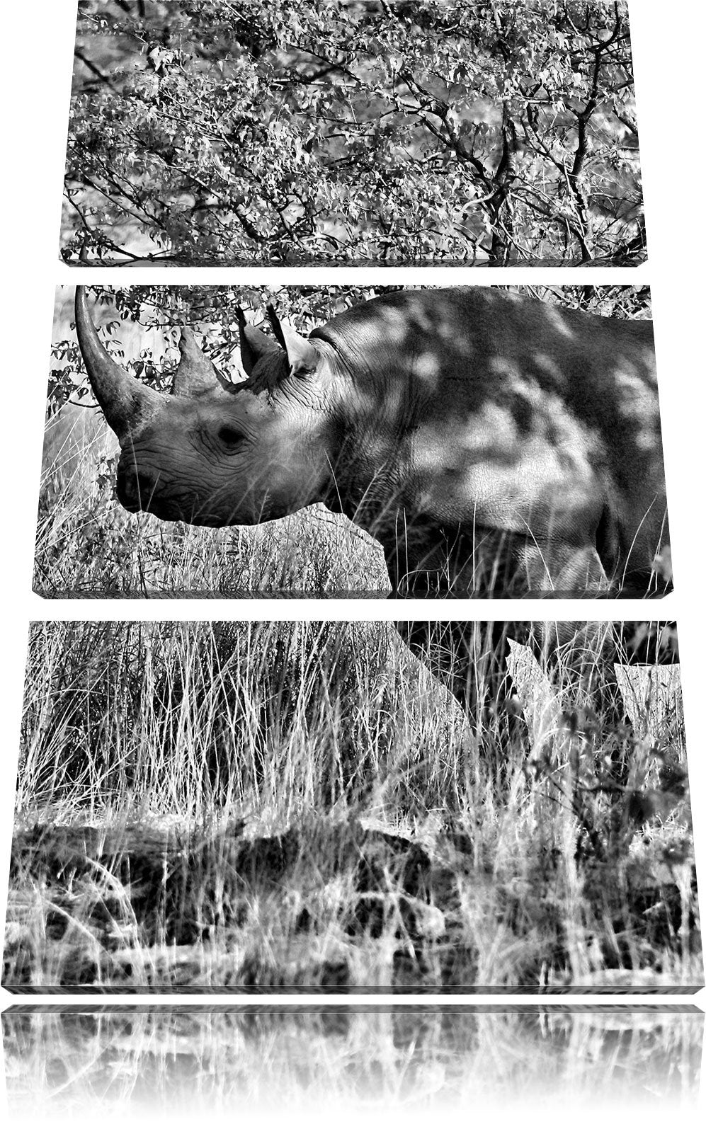 Pixxprint Nashorn in der Savanne als Leinwandbild/Grösse: 3 Teilig (120x80) cm/Wandbild/Kunstdruck/f