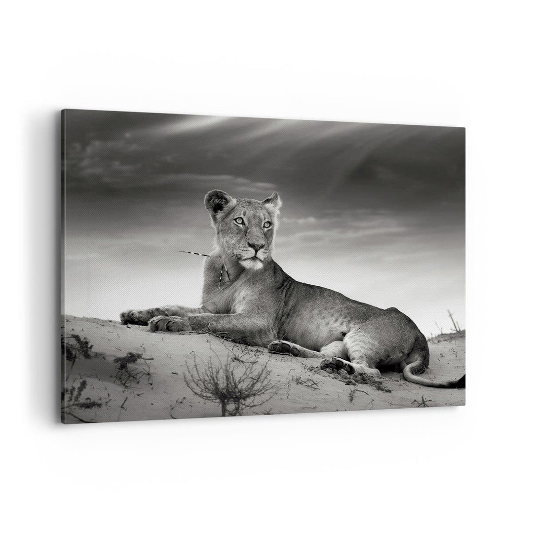 Bilder auf Leinwand 100x70cm Leinwandbild Tierwelt weiblich katze Tier Gross Wanddeko Bild Schlafzim