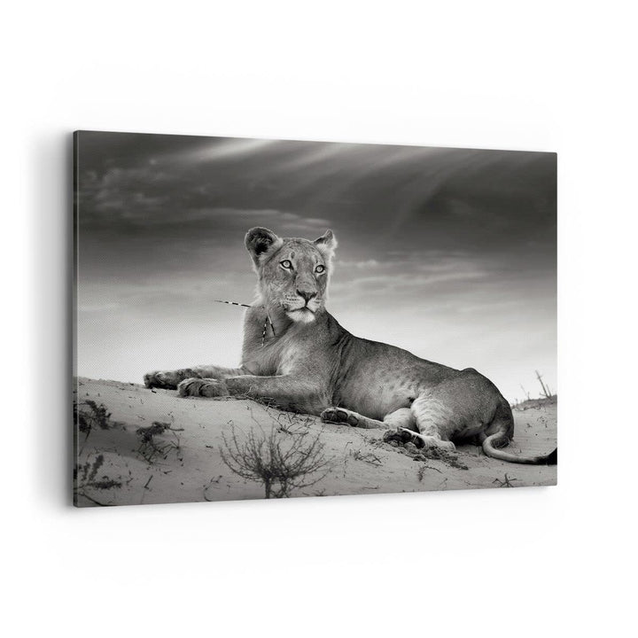 Bilder auf Leinwand 100x70cm Leinwandbild Tierwelt weiblich katze Tier Gross Wanddeko Bild Schlafzim