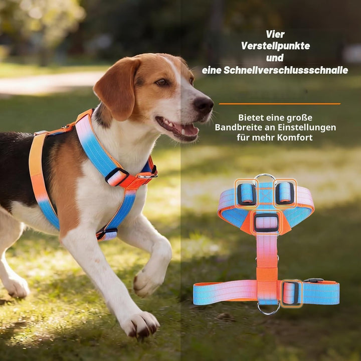 Hundegeschirr Mittelgrosse Grosse Hunde, Anti Zug Brustgeschirr Verstellbar mit Front Clip, Taktisch