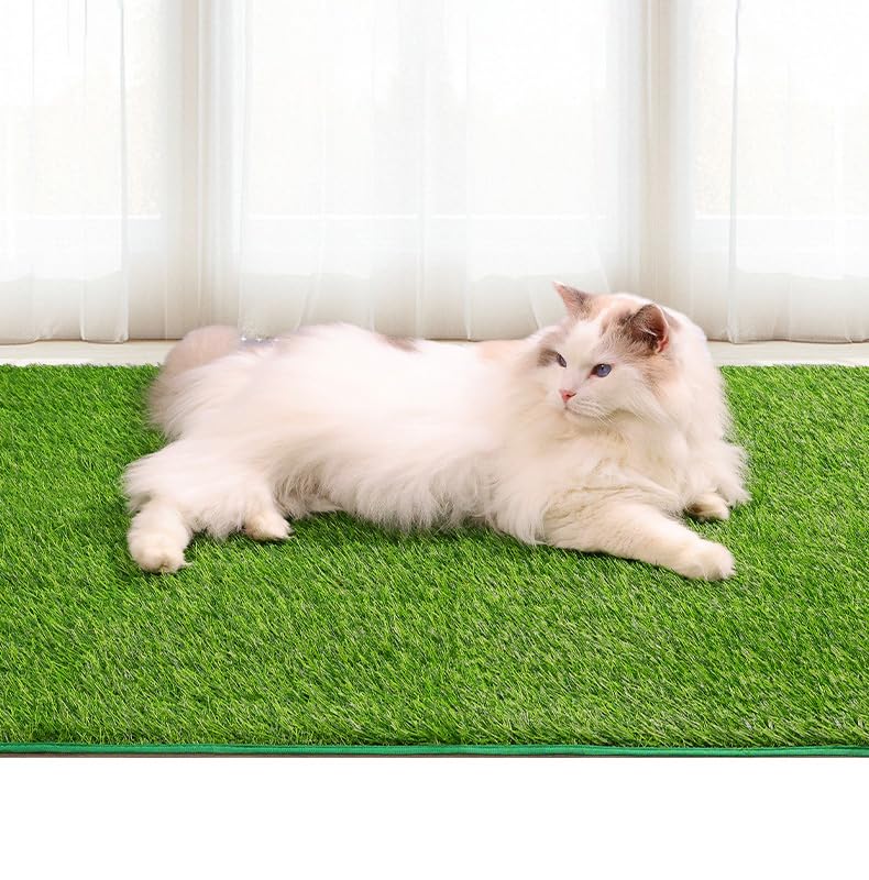 Waschbares Trainingspad für Welpen, Katzen, Hunde mit Glöckchen, wiederverwendbar, 46 x 70 cm