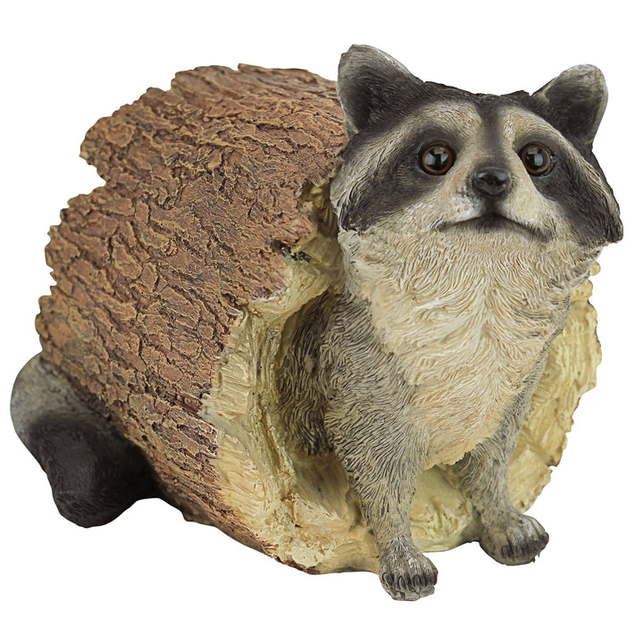 Design Toscano Bandit der Waschbär Tierstatue, Polyresin, Vollfarbe, 25,5 cm, Bandit