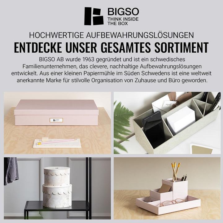 BIGSO JOHAN Hängeregisterbox A4 – Hängemappenbox mit Deckel und Griff – Schreibtischablage für Hänge